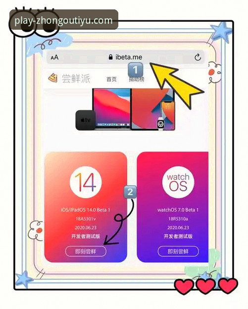 中欧体育AppiOS版全面解析：从安装体验到创新功能的深度探索
